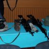 Мероприятие о правилах пересечения Государственной границы