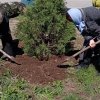 Субботник 2020 г.