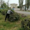 Всероссийский субботник 2024