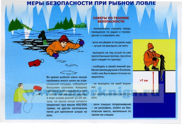 foto 2025 02 17 10 37 001