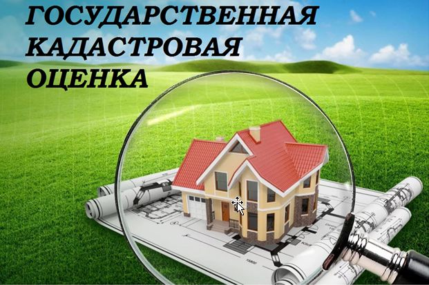 foto 2025 05 13 09 06 002