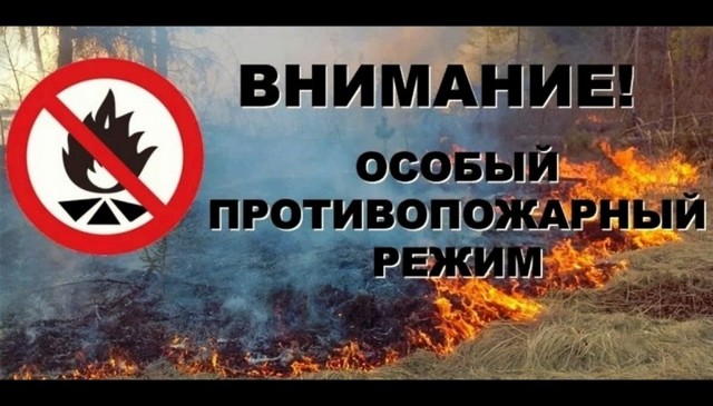 foto 2025 05 19 11 47 001
