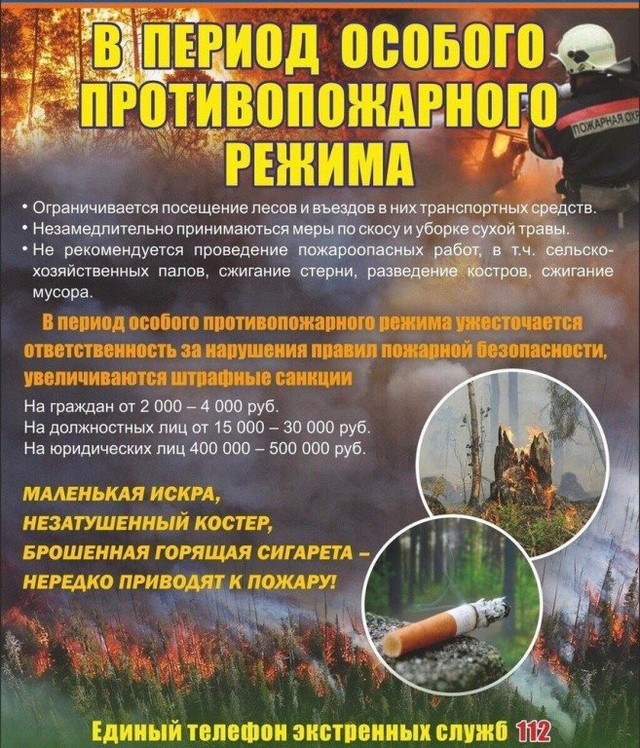 foto 2025 05 19 11 47 002