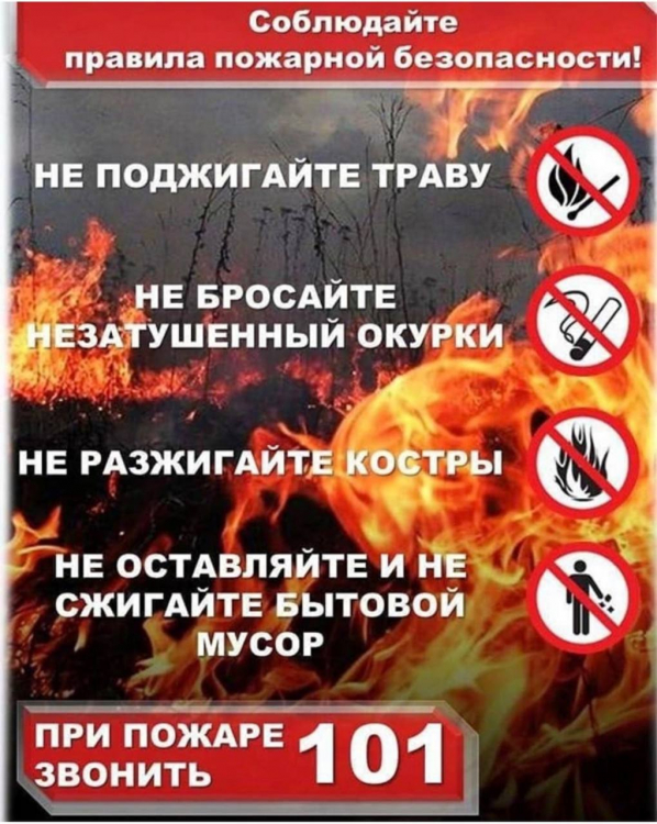 foto 2025 05 19 11 47 003
