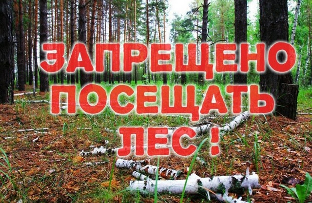 foto 2025 05 27 15 47 001